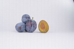 Variété de prune : Quetsche Minot